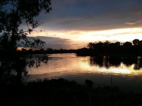Brisbane river near UQ