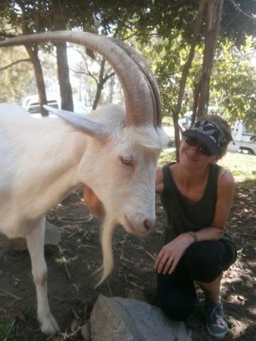Cathy with goat at FAR