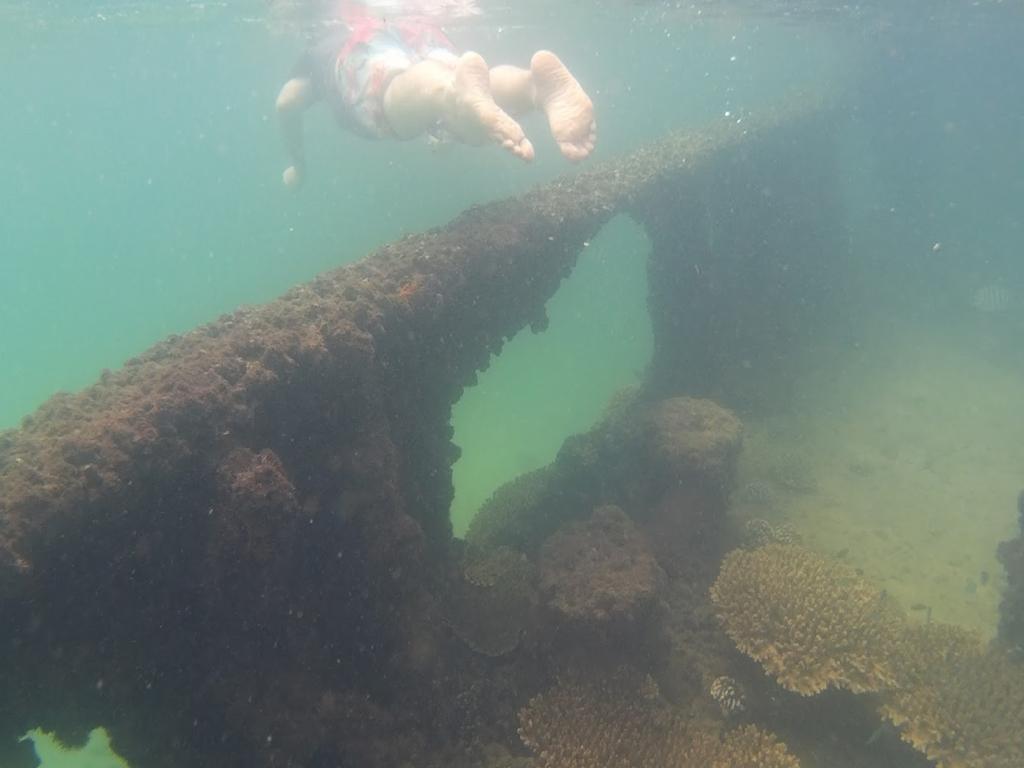 Cameron Green Tangalooma wrecks