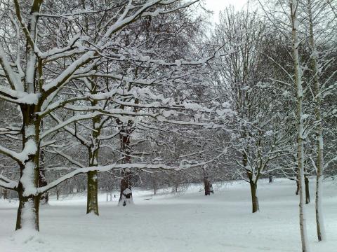 Hyde park in the snow