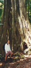 Cameron Green and a tree