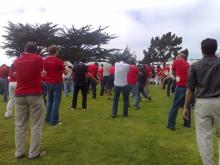 Elephant parade at Google SF