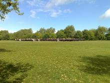 Mounted soldiers Hyde Park