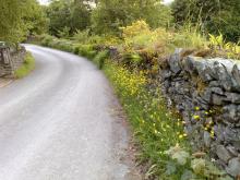 Dry stone walls